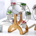 Wooden Carousel with Ceramic Succulent Planters